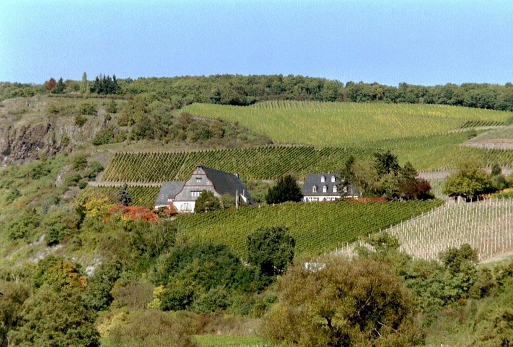 Gut Hermannsberg, Gaestehaus Niederhausen Exterior foto